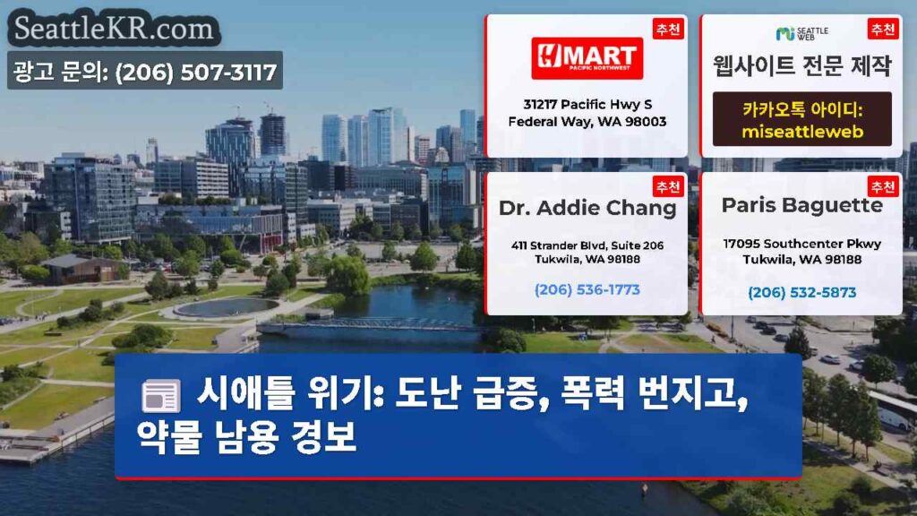 시애틀 위기: 도난 급증, 폭력 번지고, 약물 남용 경보