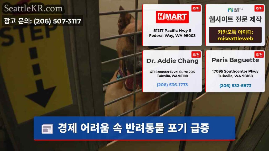 경제 어려움 속 반려동물 포기 급증