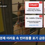 경제 어려움 속 반려동물 포기 급증