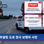 푸얄럽 도로 참사 보행자 사망