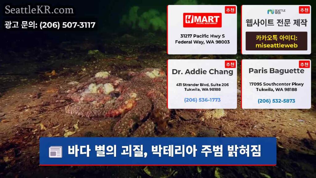 바다 별의 괴질, 박테리아 주범 밝혀짐