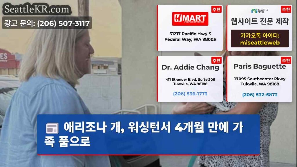 애리조나 개, 워싱턴서 4개월 만에 가족 품으로