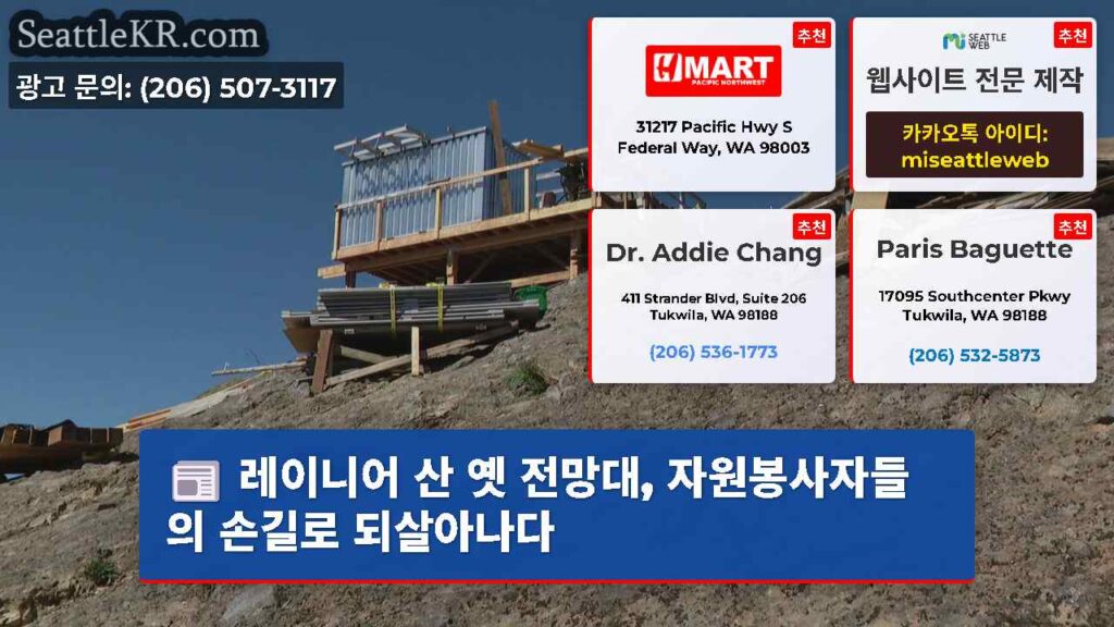레이니어 산 옛 전망대, 자원봉사자들의 손길로 되살아나다