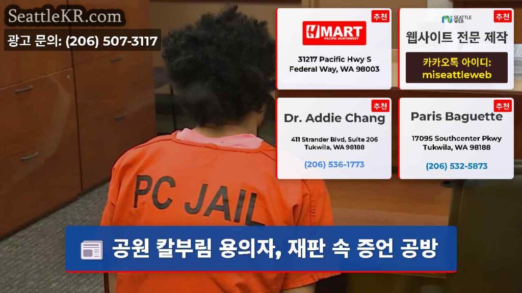공원 칼부림 용의자, 재판 속 증언 공방