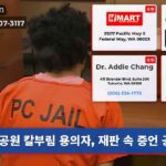 공원 칼부림 용의자 재판 속 증언 공방