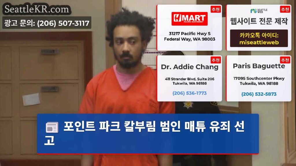 포인트 파크 칼부림 범인 매튜 유죄 선고
