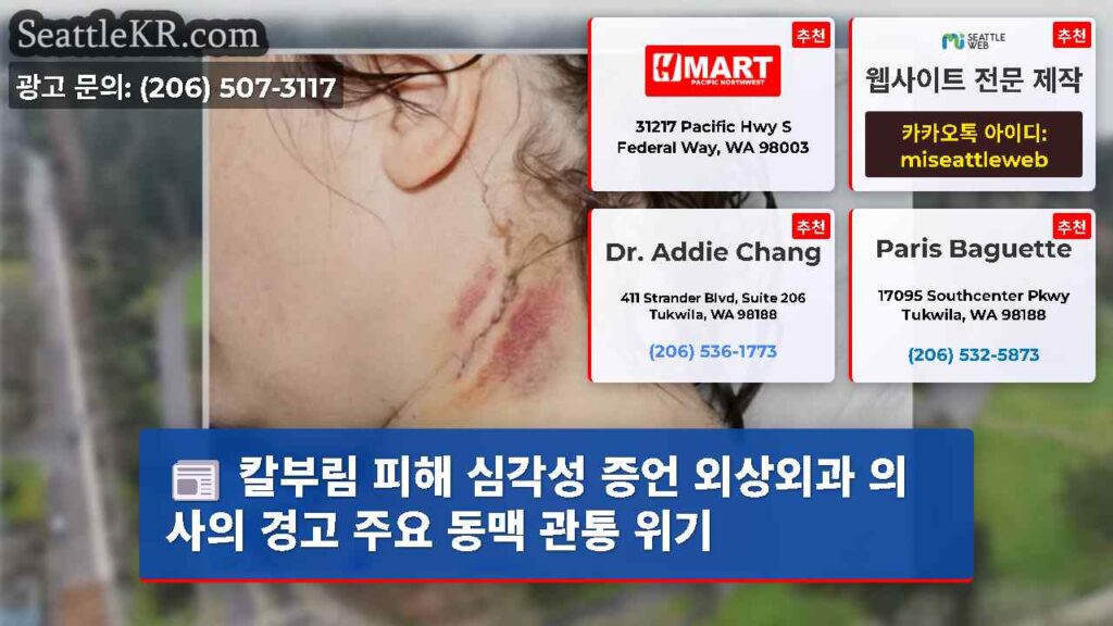 칼부림 피해 심각성 증언 외상외과 의사의 경고 주요 동맥 관통 위기