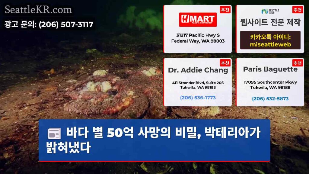 바다 별 50억 사망의 비밀, 박테리아가 밝혀냈다