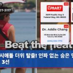 시애틀 더위 탈출! 인파 없는 숨은 명소 공원 3선