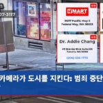 카메라가 도시를 지킨다 범죄 중단의 순간
