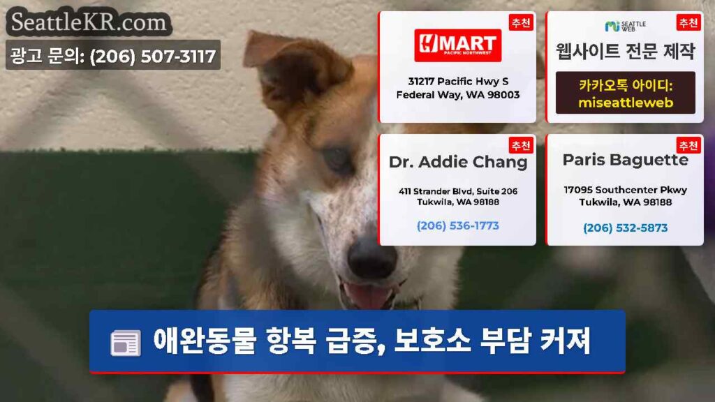 애완동물 항복 급증, 보호소 부담 커져