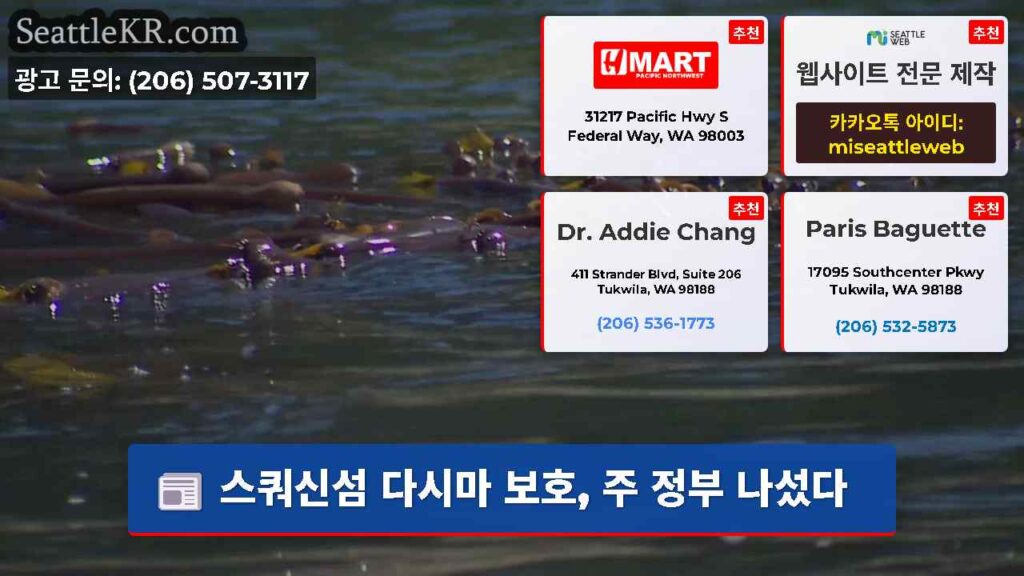 스쿼신섬 다시마 보호, 주 정부 나섰다