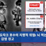오자크 호수의 치명적 위협 뇌 먹는 아메바 감염 경고