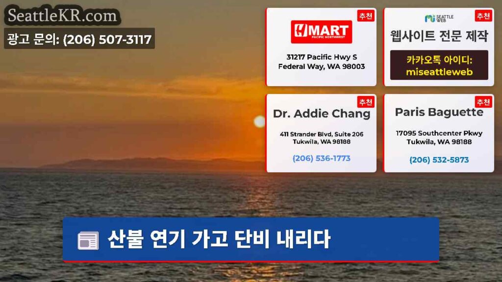 산불 연기 가고 단비 내리다