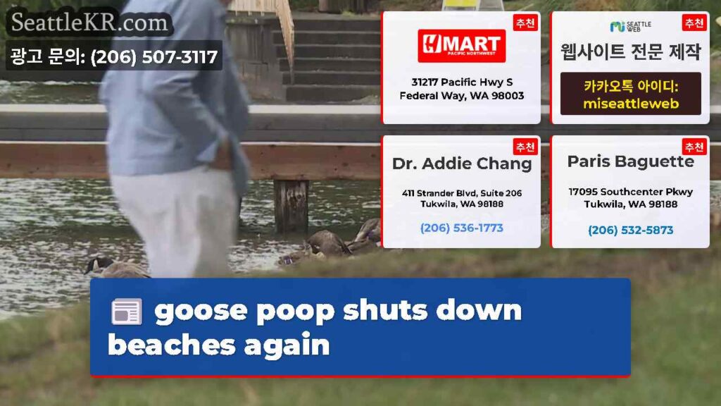 goose poop shuts down beaches again