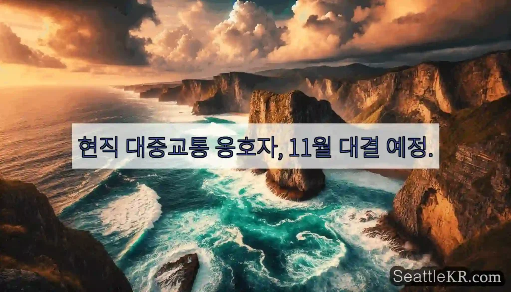 현직 대중교통 옹호자, 11월 대결 예정.