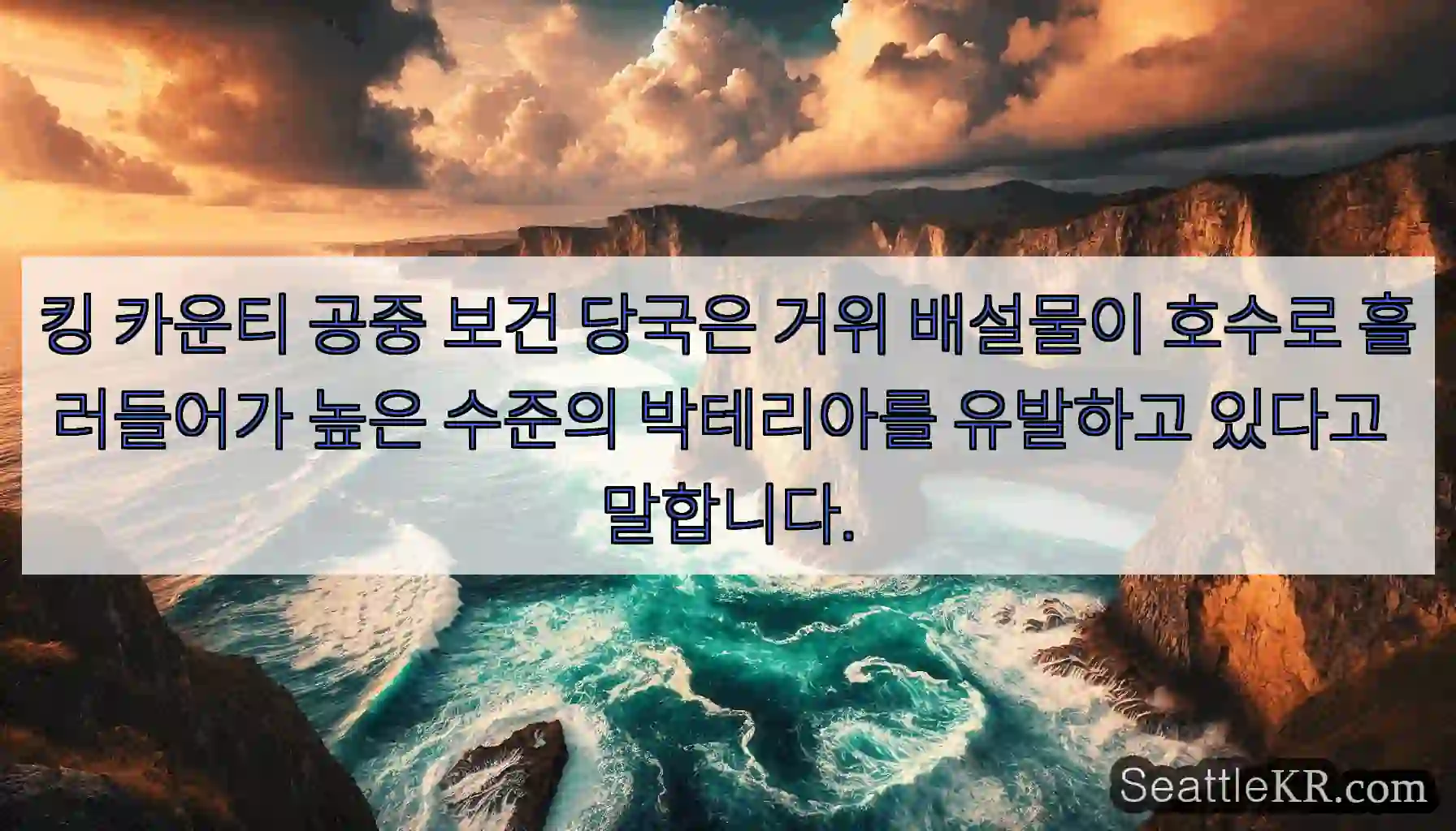 킹 카운티 공중 보건 당국은 거위 배설물이 호수로 흘러들어가 높은 수준의 박테리아를