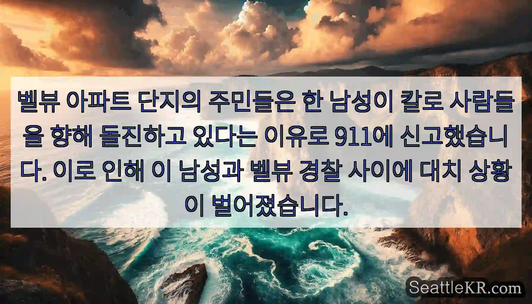 벨뷰 아파트 단지의 주민들은 한 남성이 칼로 사람들을 향해 돌진하고 있다는 이유로