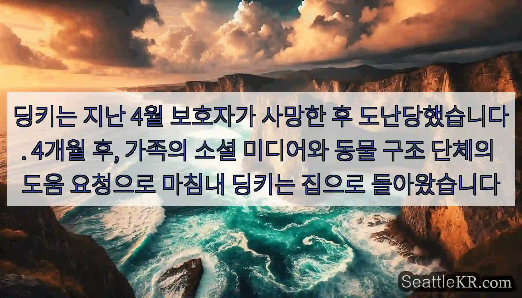 딩키는 지난 4월 보호자가 사망한 후 도난당했습니다. 4개월 후, 가족의 소셜 미디어와