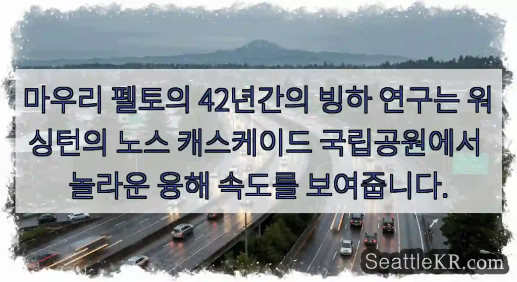 마우리 펠토의 42년간의 빙하 연구는 워싱턴의 노스 캐스케이드 국립공원에서 놀라운 융해