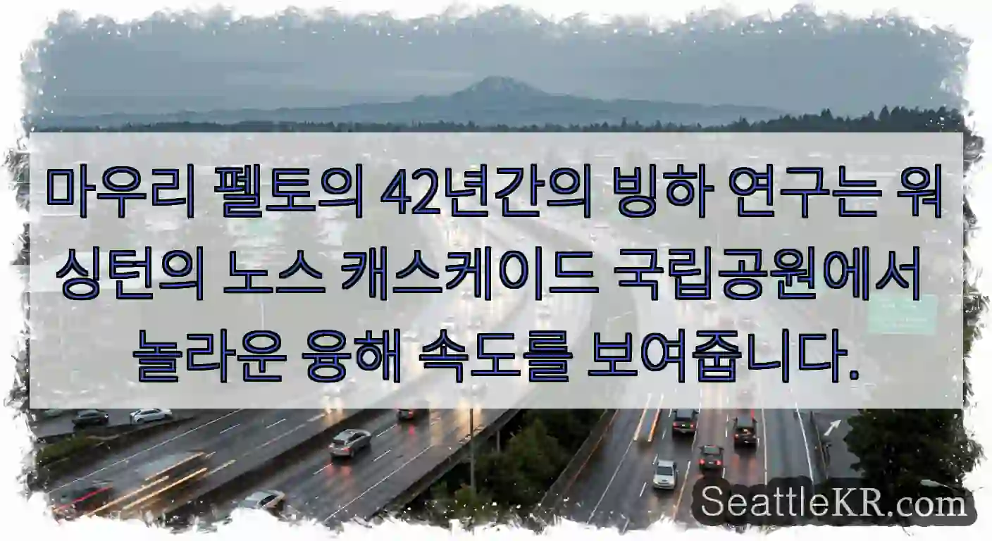 마우리 펠토의 42년간의 빙하 연구는 워싱턴의 노스 캐스케이드 국립공원에서 놀라운 융해