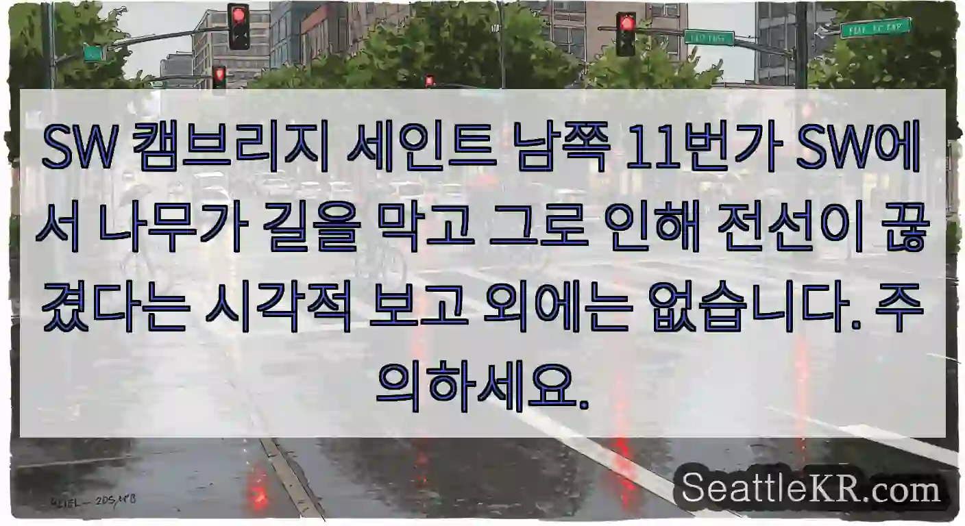 SW 캠브리지 세인트 남쪽 11번가 SW에서 나무가 길을 막고 그로 인해 전선이 끊겼다는