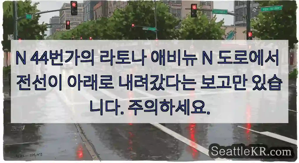 N 44번가의 라토나 애비뉴 N 도로에서 전선이 아래로 내려갔다는 보고만 있습니다.
