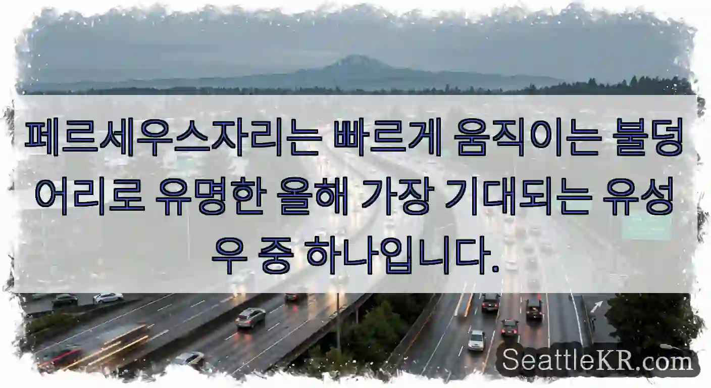 페르세우스자리는 빠르게 움직이는 불덩어리로 유명한 올해 가장 기대되는 유성우 중