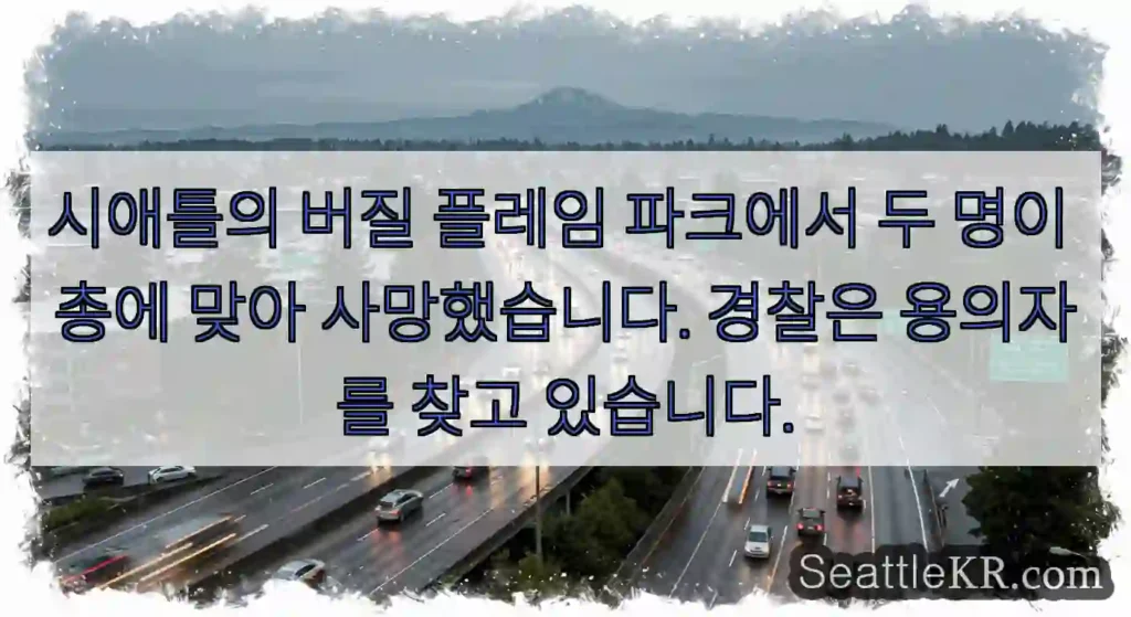 시애틀의 버질 플레임 파크에서 두 명이 총에 맞아 사망했습니다. 경찰은 용의자를 찾고