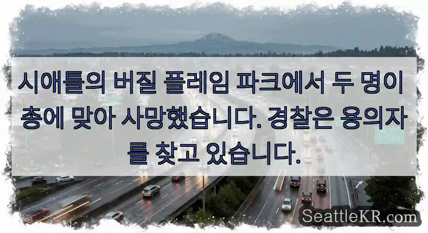 시애틀의 버질 플레임 파크에서 두 명이 총에 맞아 사망했습니다. 경찰은 용의자를 찾고