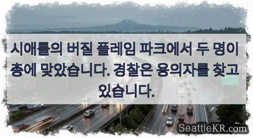 시애틀의 버질 플레임 파크에서 두 명이 총에 맞았습니다. 경찰은 용의자를 찾고 있습니다.