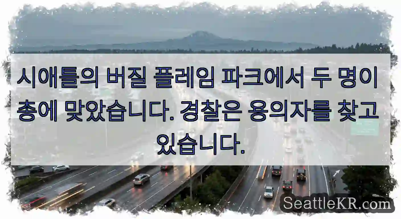 시애틀의 버질 플레임 파크에서 두 명이 총에 맞았습니다. 경찰은 용의자를 찾고 있습니다.