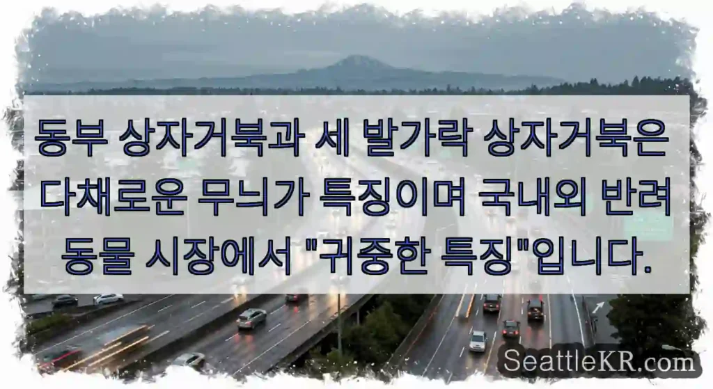 동부 상자거북과 세 발가락 상자거북은 다채로운 무늬가 특징이며 국내외 반려동물 시장에서