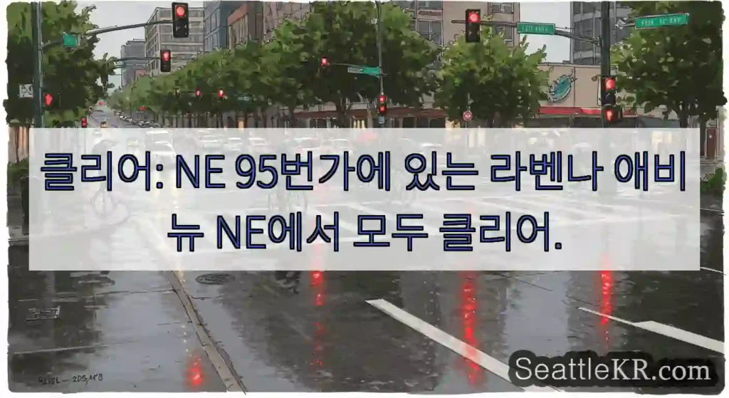클리어: NE 95번가에 있는 라벤나 애비뉴 NE에서 모두 클리어.