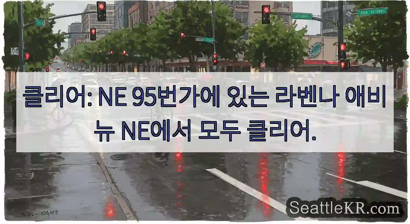 클리어: NE 95번가에 있는 라벤나 애비뉴 NE에서 모두 클리어.