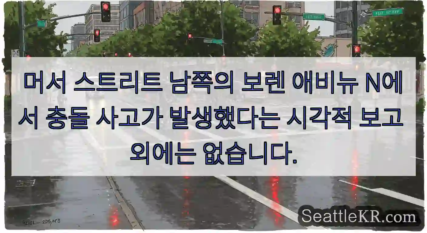 머서 스트리트 남쪽의 보렌 애비뉴 N에서 충돌 사고가 발생했다는 시각적 보고 외에는