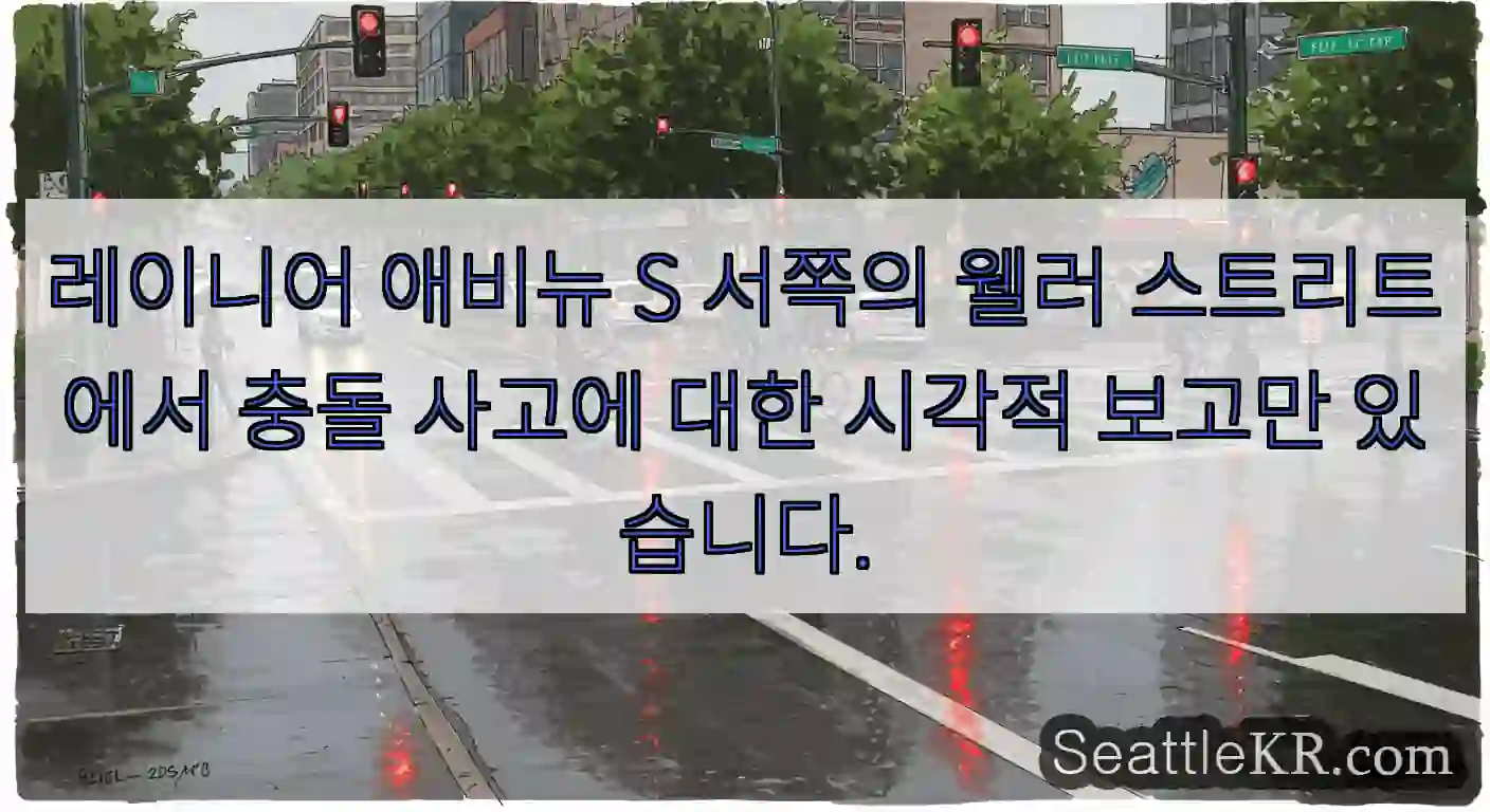 레이니어 애비뉴 S 서쪽의 웰러 스트리트에서 충돌 사고에 대한 시각적 보고만 있습니다.