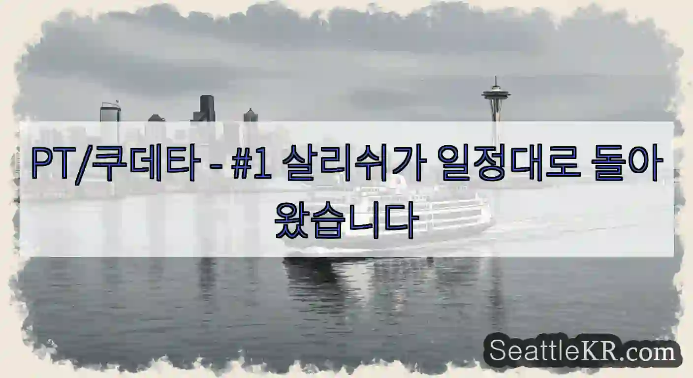 PT/쿠데타 - #1 살리쉬가 일정대로 돌아왔습니다