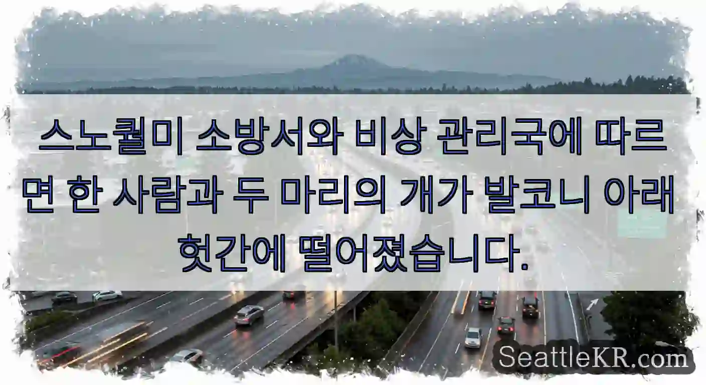 스노퀄미 소방서와 비상 관리국에 따르면 한 사람과 두 마리의 개가 발코니 아래 헛간에