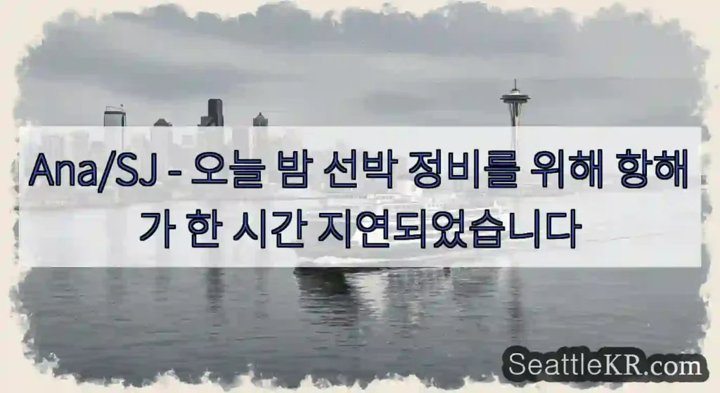 Ana/SJ - 오늘 밤 선박 정비를 위해 항해가 한 시간 지연되었습니다