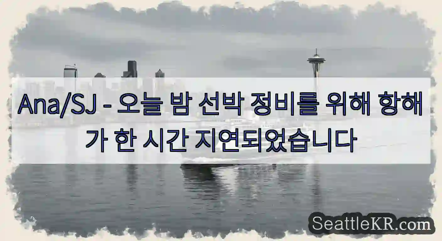 Ana/SJ - 오늘 밤 선박 정비를 위해 항해가 한 시간 지연되었습니다