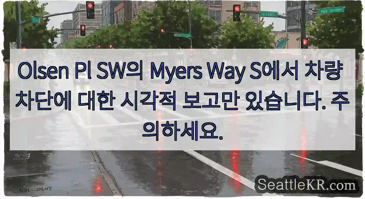 Olsen Pl SW의 Myers Way S에서 차량 차단에 대한 시각적 보고만