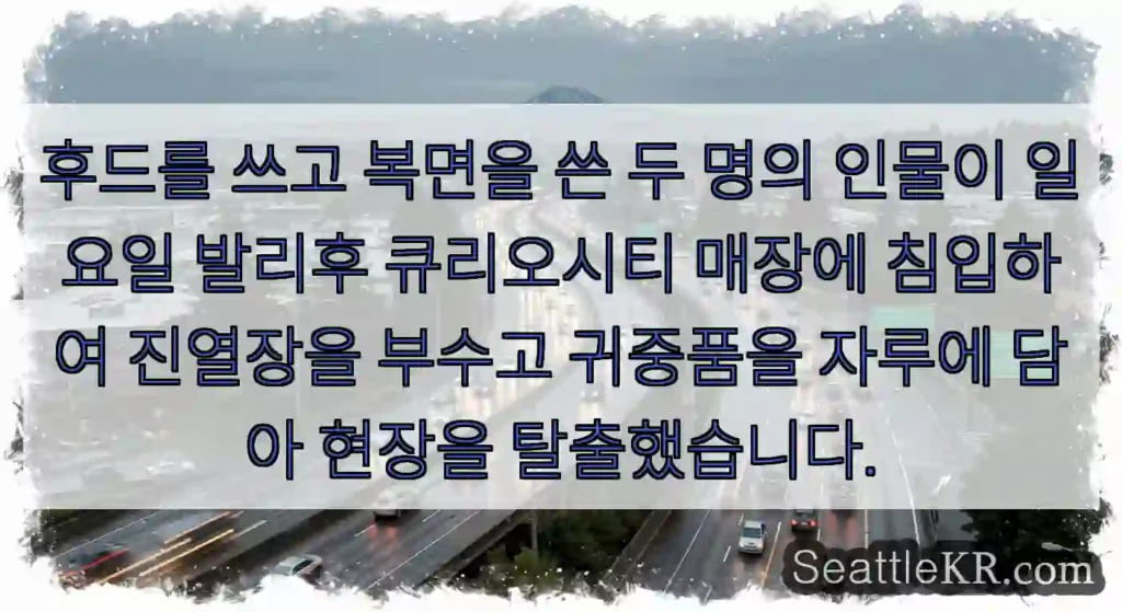 후드를 쓰고 복면을 쓴 두 명의 인물이 일요일 발리후 큐리오시티 매장에 침입하여 진열장을