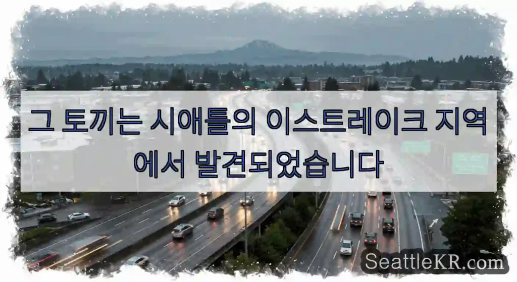 그 토끼는 시애틀의 이스트레이크 지역에서 발견되었습니다