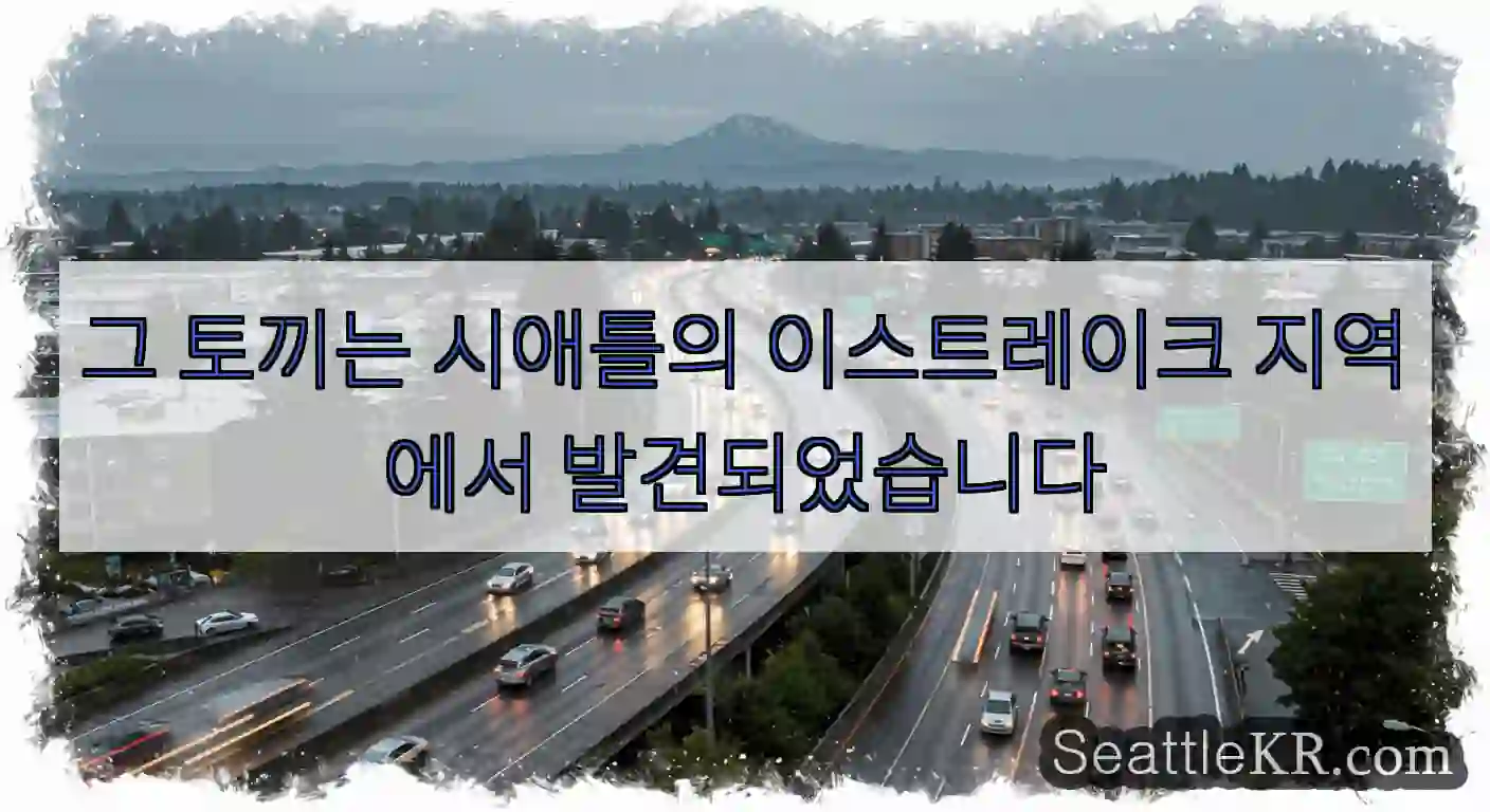 그 토끼는 시애틀의 이스트레이크 지역에서 발견되었습니다
