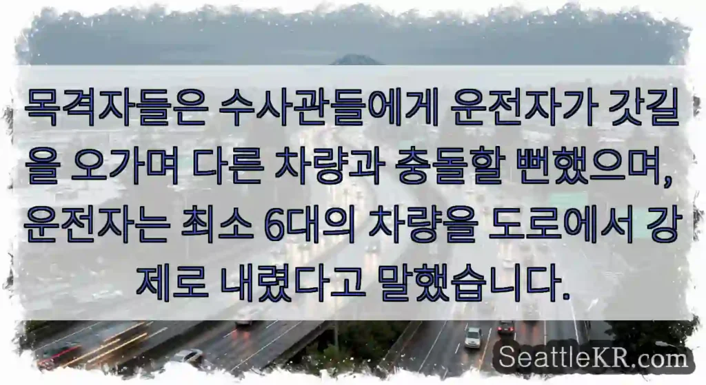 목격자들은 수사관들에게 운전자가 갓길을 오가며 다른 차량과 충돌할 뻔했으며, 운전자는