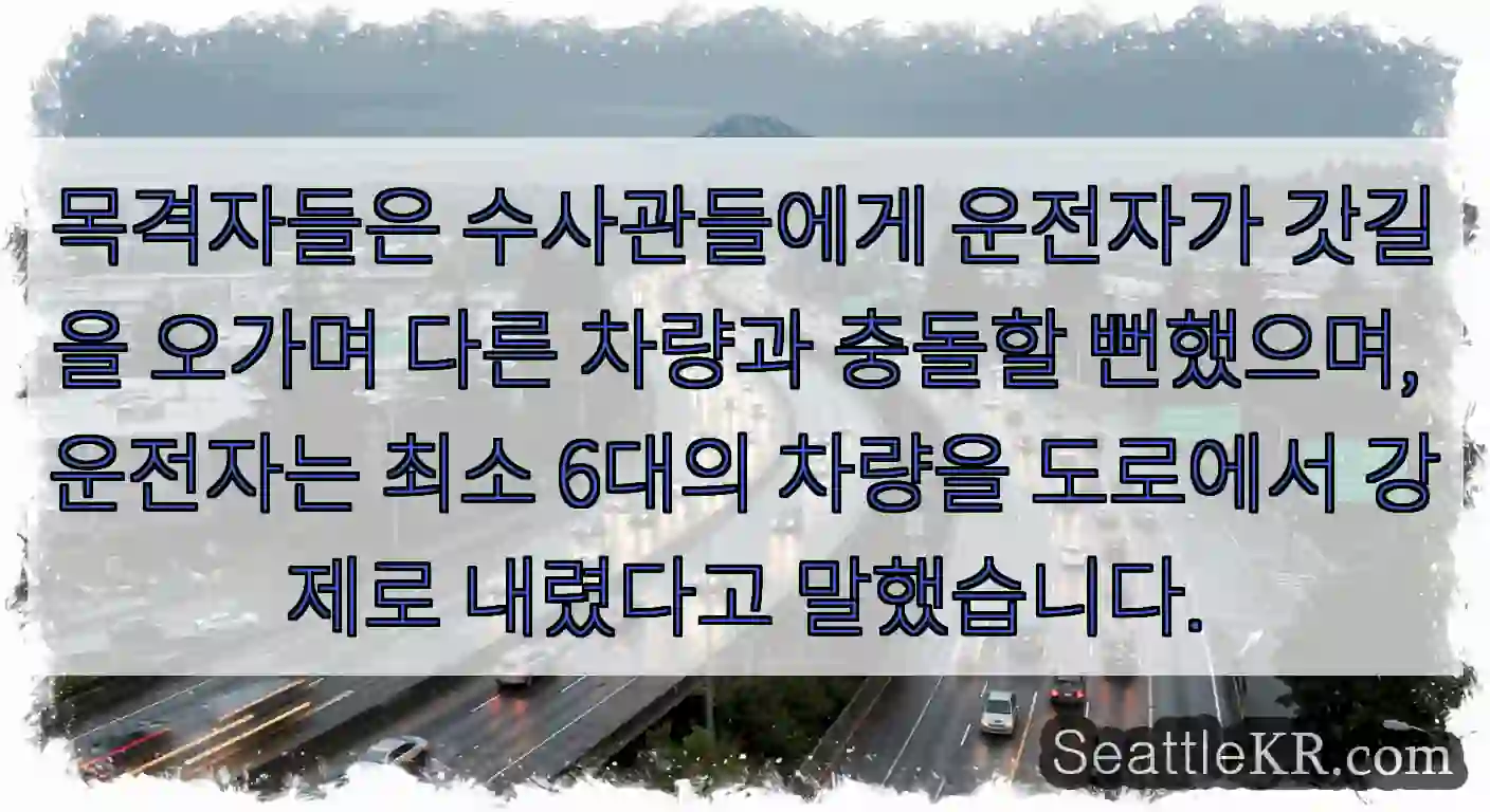 목격자들은 수사관들에게 운전자가 갓길을 오가며 다른 차량과 충돌할 뻔했으며, 운전자는