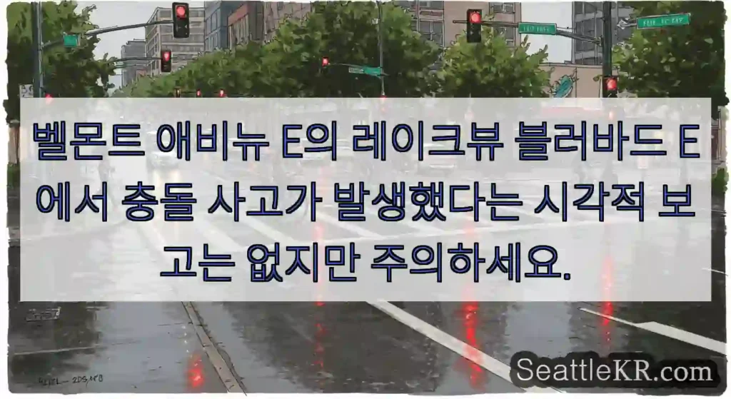 벨몬트 애비뉴 E의 레이크뷰 블러바드 E에서 충돌 사고가 발생했다는 시각적 보고는 없지만