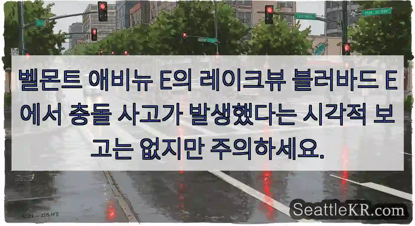 벨몬트 애비뉴 E의 레이크뷰 블러바드 E에서 충돌 사고가 발생했다는 시각적 보고는 없지만
