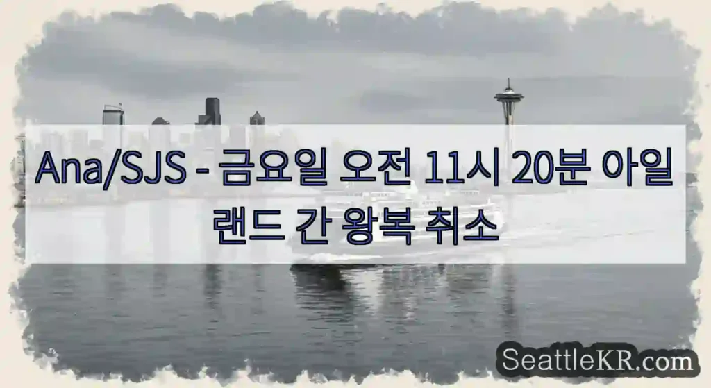 Ana/SJS - 금요일 오전 11시 20분 아일랜드 간 왕복 취소